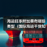 海运旺季附加费有哪些类型(国际海运干货知识分享)(图4) 海运旺季附加费有哪些类型(国际海运干货知识分享)(图4)