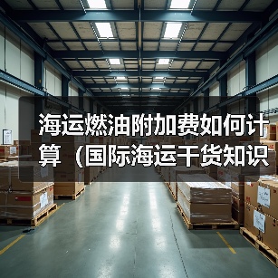海运燃油附加费如何计算(国际海运干货知识分享)(图4) 海运燃油附加费如何计算(国际海运干货知识分享)(图4)