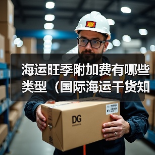 海运旺季附加费有哪些类型(国际海运干货知识分享)(图1) 海运旺季附加费有哪些类型(国际海运干货知识分享)(图1)