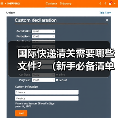 国际快递清关需要哪些文件?(新手必备清单) 国际快递清关需要哪些文件?(新手必备清单)