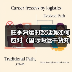 旺季海运时效延误如何应对(国际海运干货知识分享)(图1) 旺季海运时效延误如何应对(国际海运干货知识分享)(图1)
