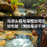 海运头程与尾程如何高效衔接(国际海运干货知识分享)(图2) 海运头程与尾程如何高效衔接(国际海运干货知识分享)(图2)