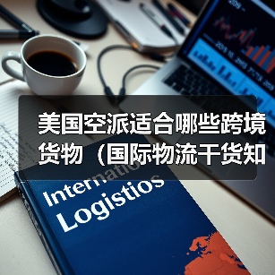 美国空派适合哪些跨境货物(国际物流干货知识分享)(图4) 美国空派适合哪些跨境货物(国际物流干货知识分享)(图4)
