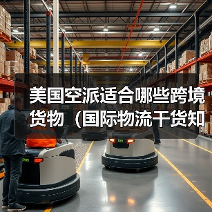 美国空派适合哪些跨境货物(国际物流干货知识分享)(图3) 美国空派适合哪些跨境货物(国际物流干货知识分享)(图3)