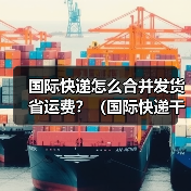 国际快递怎么合并发货省运费?(国际快递干货知识分享)(图3) 国际快递怎么合并发货省运费?(国际快递干货知识分享)(图3)