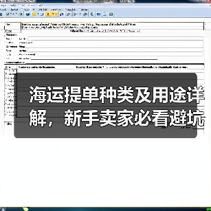 海运提单种类及用途详解,新手卖家必看避坑指南(国际海运干货知识分享)(图4) 海运提单种类及用途详解,新手卖家必看避坑指南(国际海运干货知识分享)(图4)