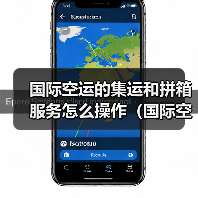 国际空运的集运和拼箱服务怎么操作(国际空运干货知识分享)(图4) 国际空运的集运和拼箱服务怎么操作(国际空运干货知识分享)(图4)