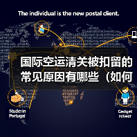 国际空运清关被扣留的常见原因有哪些(如何快速解决清关问题)(图3) 国际空运清关被扣留的常见原因有哪些(如何快速解决清关问题)(图3)
