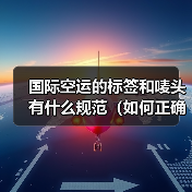 国际空运的标签和唛头有什么规范(如何正确标注)(图4) 国际空运的标签和唛头有什么规范(如何正确标注)(图4)