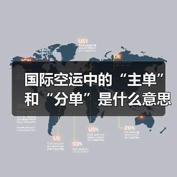 国际空运中的“主单”和“分单”是什么意思(不清楚的跨境电商卖家看过来)(图4) 国际空运中的“主单”和“分单”是什么意思(不清楚的跨境电商卖家看过来)(图4)