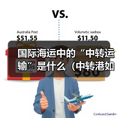 国际海运中的“中转运输”是什么（中转港如何选择）（图3）