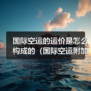 国际空运的运价是怎么构成的(国际空运附加费都有哪些)(图2) 国际空运的运价是怎么构成的(国际空运附加费都有哪些)(图2)