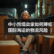 中小跨境卖家如何降低国际海运的物流风险(国际物流干货知识分享)(图2) 中小跨境卖家如何降低国际海运的物流风险(国际物流干货知识分享)(图2)