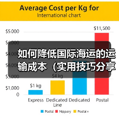 如何降低国际海运的运输成本(实用技巧分享)(图1) 如何降低国际海运的运输成本(实用技巧分享)(图1)