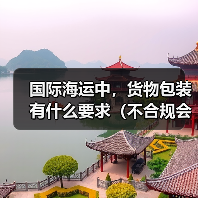 国际海运中,货物包装有什么要求(不合规会有什么后果)(图3) 国际海运中,货物包装有什么要求(不合规会有什么后果)(图3)