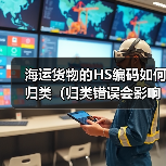 海运货物的HS编码如何归类(归类错误会影响清关吗)(图4) 海运货物的HS编码如何归类(归类错误会影响清关吗)(图4)
