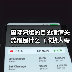 国际海运的目的港清关流程是什么（收货人需要做什么）（图2）