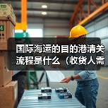 国际海运的目的港清关流程是什么（收货人需要做什么）（图3）