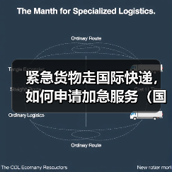 紧急货物走国际快递,如何申请加急服务(国际快递干货知识分享)(图4) 紧急货物走国际快递,如何申请加急服务(国际快递干货知识分享)(图4)