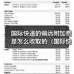 国际快递的偏远附加费是怎么收取的(国际快递干货知识分享)(图4) 国际快递的偏远附加费是怎么收取的(国际快递干货知识分享)(图4)