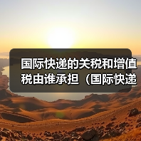 国际快递的关税和增值税由谁承担（国际快递干货知识分享）（图1）