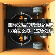 国际空运的航班延误或取消怎么办(应急处理方案)(图4) 国际空运的航班延误或取消怎么办(应急处理方案)(图4)