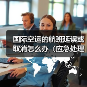 国际空运的航班延误或取消怎么办(应急处理方案)(图3) 国际空运的航班延误或取消怎么办(应急处理方案)(图3)