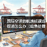 国际空运的航班延误或取消怎么办(应急处理方案)(图2) 国际空运的航班延误或取消怎么办(应急处理方案)(图2)