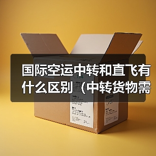 国际空运中转和直飞有什么区别(中转货物需要注意什么)(图3) 国际空运中转和直飞有什么区别(中转货物需要注意什么)(图3)