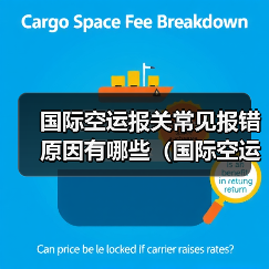 国际空运报关常见报错原因有哪些(国际空运干货知识分享)(图2) 国际空运报关常见报错原因有哪些(国际空运干货知识分享)(图2)