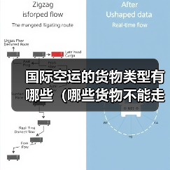 国际空运的货物类型有哪些(哪些货物不能走空运)(图2) 国际空运的货物类型有哪些(哪些货物不能走空运)(图2)