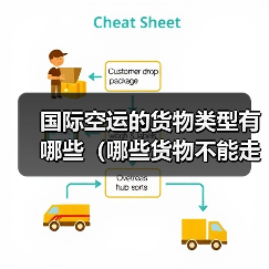 国际空运的货物类型有哪些(哪些货物不能走空运)(图4) 国际空运的货物类型有哪些(哪些货物不能走空运)(图4)