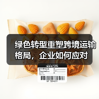 绿色转型重塑跨境运输格局,企业如何应对(图3) 绿色转型重塑跨境运输格局,企业如何应对(图3)