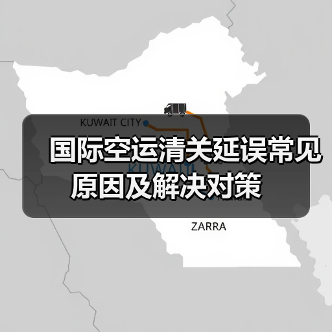 国际空运清关延误常见原因及解决对策(图4) 国际空运清关延误常见原因及解决对策(图4)