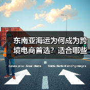 东南亚海运为何成为跨境电商首选？适合哪些货物运输？（图3）