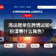 海运提单在跨境运输中扮演着什么角色?(图4) 海运提单在跨境运输中扮演着什么角色?(图4)