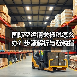 国际空运清关被税怎么办?步骤解析与避税指南(图4) 国际空运清关被税怎么办?步骤解析与避税指南(图4)
