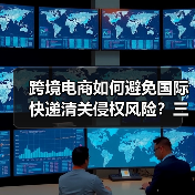 跨境电商如何避免国际快递清关侵权风险?三步骤全解析(图2) 跨境电商如何避免国际快递清关侵权风险?三步骤全解析(图2)