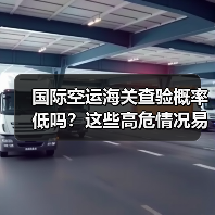 国际空运海关查验概率低吗?这些高危情况易被查验(图1) 国际空运海关查验概率低吗?这些高危情况易被查验(图1)