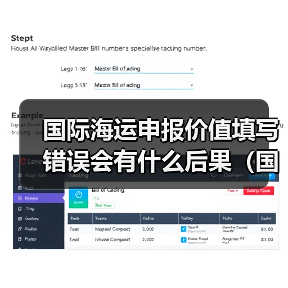 国际海运申报价值填写错误会有什么后果(国际海运干货知识分享)(图2) 国际海运申报价值填写错误会有什么后果(国际海运干货知识分享)(图2)