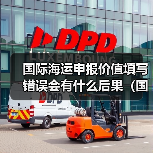 国际海运申报价值填写错误会有什么后果(国际海运干货知识分享)(图3) 国际海运申报价值填写错误会有什么后果(国际海运干货知识分享)(图3)