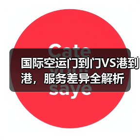 国际空运门到门VS港到港,服务差异全解析(图2) 国际空运门到门VS港到港,服务差异全解析(图2)