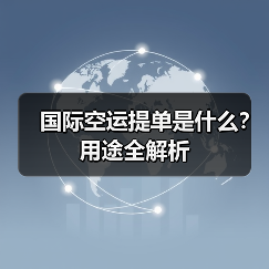 国际空运提单是什么？用途全解析（图3）