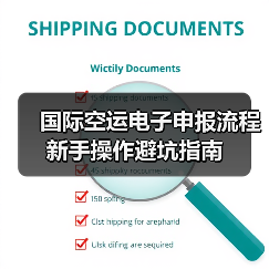 国际空运电子申报流程新手操作避坑指南(图2) 国际空运电子申报流程新手操作避坑指南(图2)