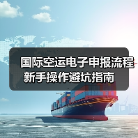 国际空运电子申报流程新手操作避坑指南(图1) 国际空运电子申报流程新手操作避坑指南(图1)