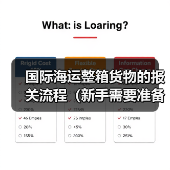 国际海运整箱货物的报关流程(新手需要准备哪些资料)(图4) 国际海运整箱货物的报关流程(新手需要准备哪些资料)(图4)
