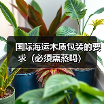 国际海运木质包装的要求(必须熏蒸吗)(图3) 国际海运木质包装的要求(必须熏蒸吗)(图3)
