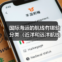 国际海运的航线有哪些分类(近洋和远洋航线的区别 )(图4) 国际海运的航线有哪些分类(近洋和远洋航线的区别 )(图4)