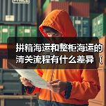 拼箱海运和整柜海运的清关流程有什么差异(国际海运干货知识分享)(图4) 拼箱海运和整柜海运的清关流程有什么差异(国际海运干货知识分享)(图4)