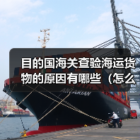 目的国海关查验海运货物的原因有哪些（怎么配合处理）（图4）